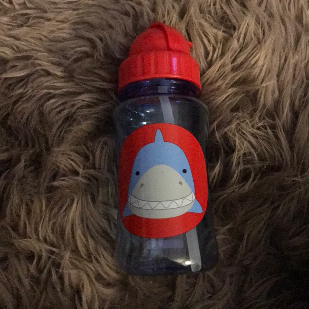 Skip hop water bottle